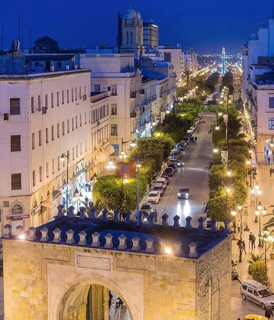 Hotel Ibn Khaldoun Τύνιδα Εξωτερικό φωτογραφία